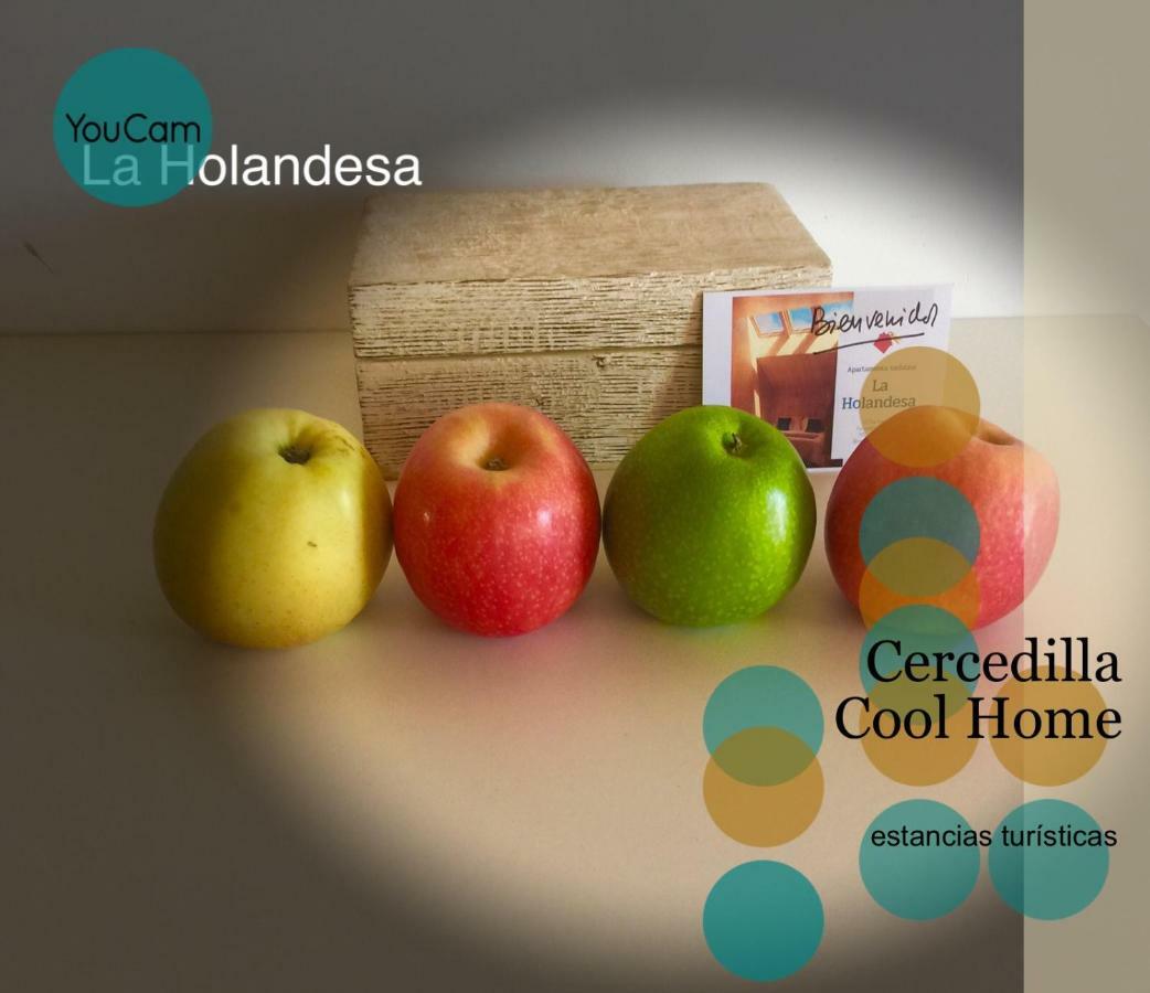 Апартаменты La Holandesa Серседилья Экстерьер фото